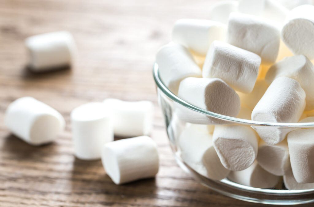 The Stanford Marshmallow Experiments Results