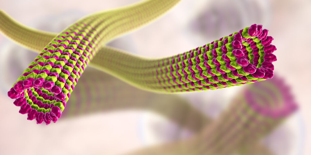 Microtubule Functionalities